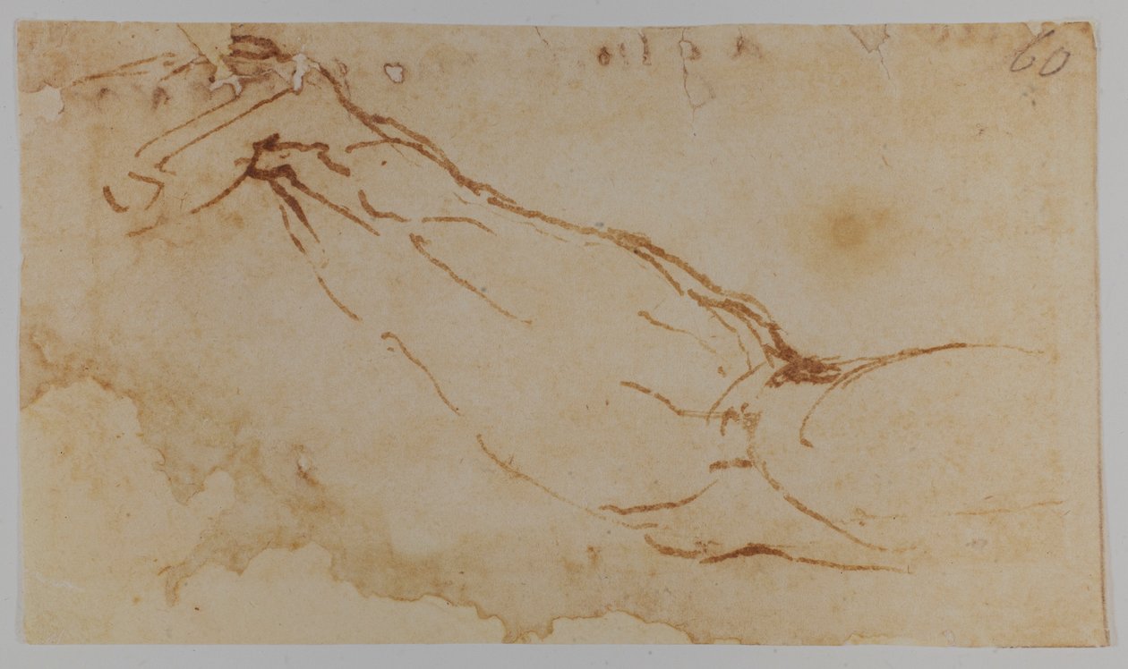 Luonnos "Leda"-teoksen oikeasta kädestä, 1528-1530 (piirustus) tekijältä Michelangelo Buonarroti