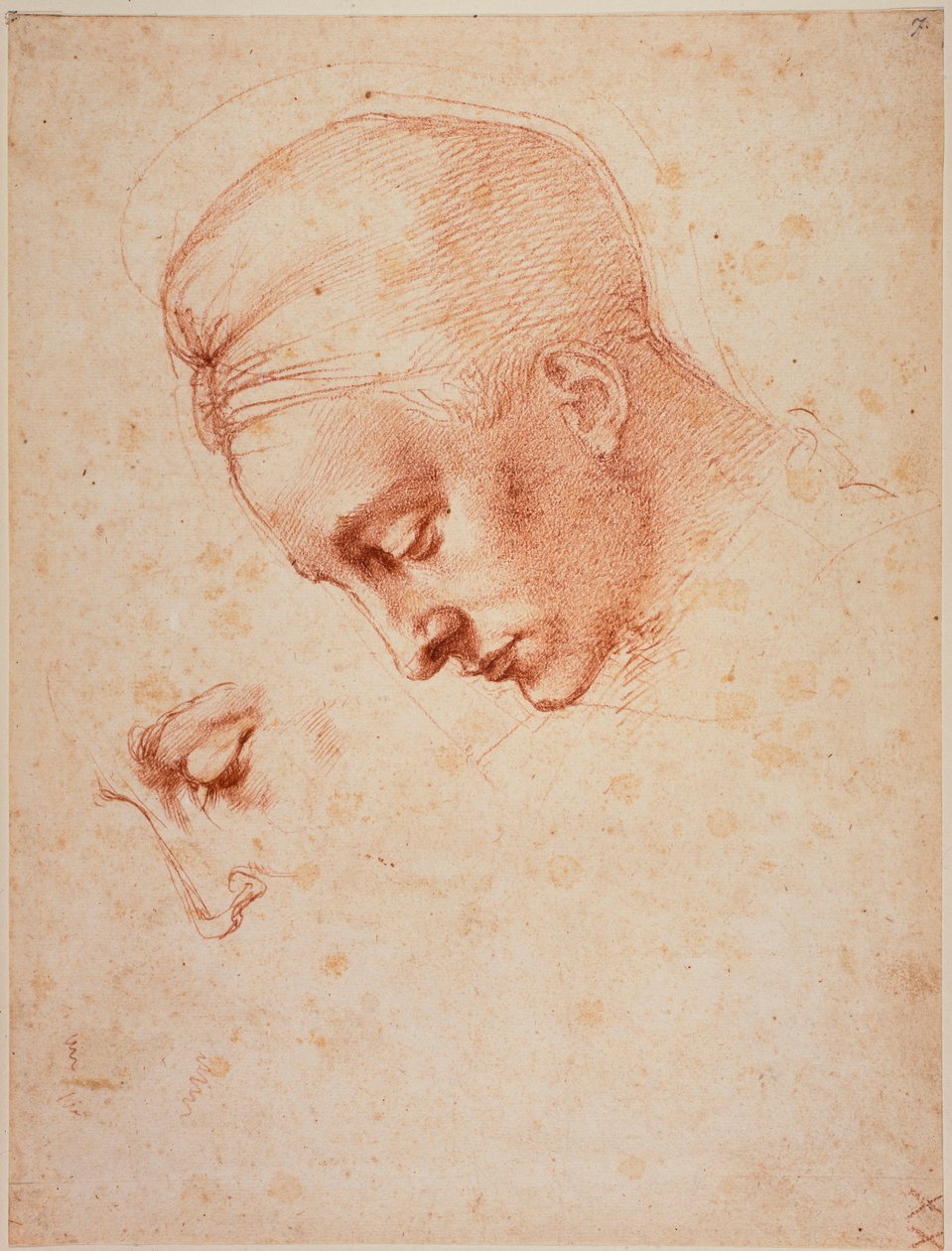 Leda-päätä koskevat tutkimukset tekijältä Michelangelo Buonarroti