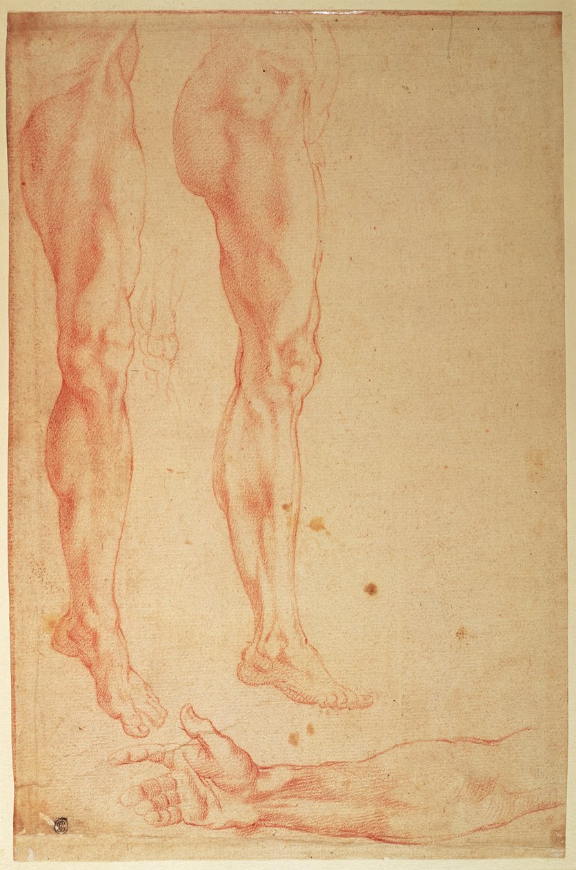 Jalkojen ja käsien tutkimukset (punainen liitu paperille) tekijältä Michelangelo Buonarroti