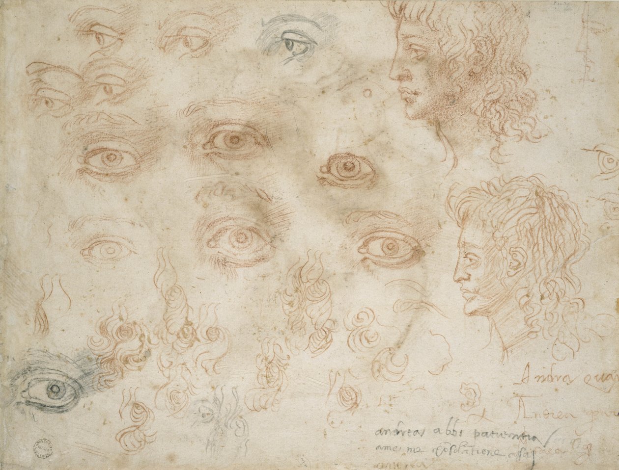 Studies of Two Heads, n. 1525 (liitu paperille) tekijältä Michelangelo Buonarroti