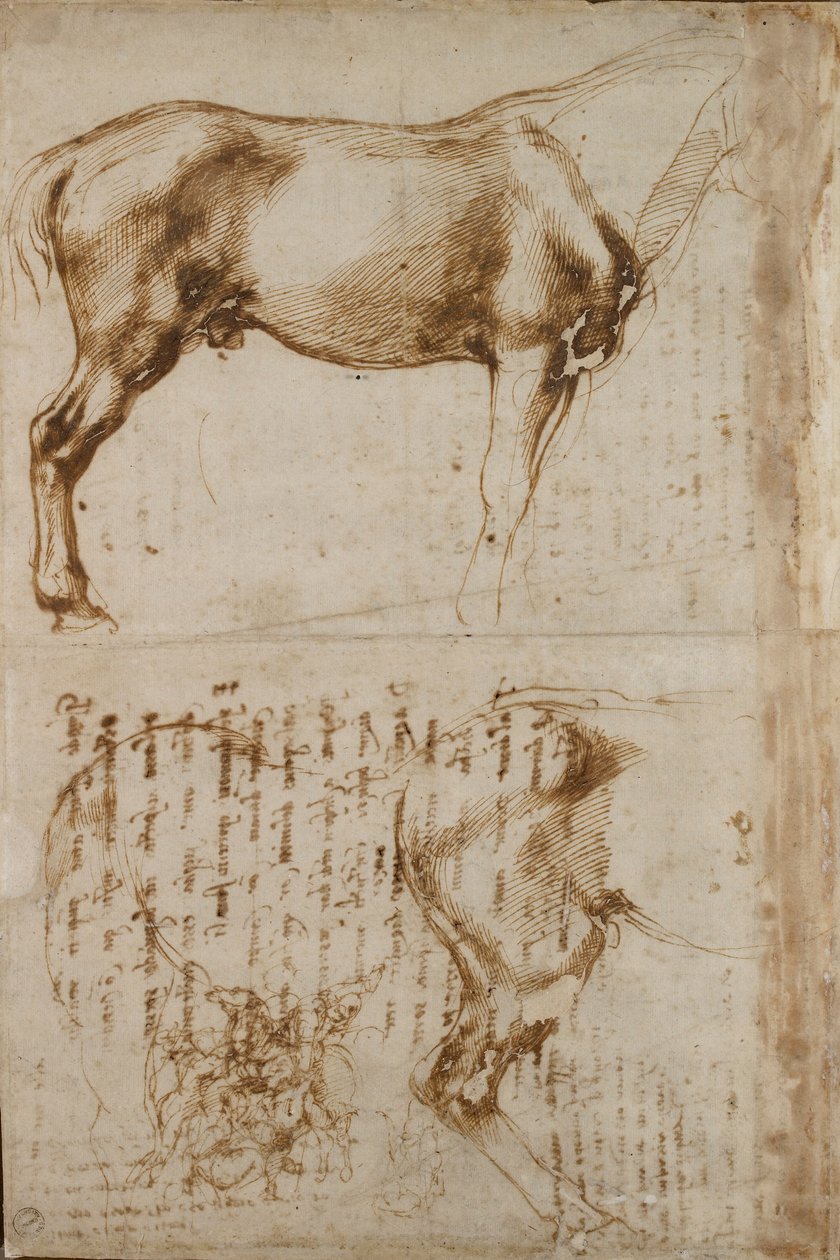 Tutkimuksia hevosesta ja ratsumiehestä, joka hyökkää jalkasotilaita vastaan, 1500-luvun alku tekijältä Michelangelo Buonarroti