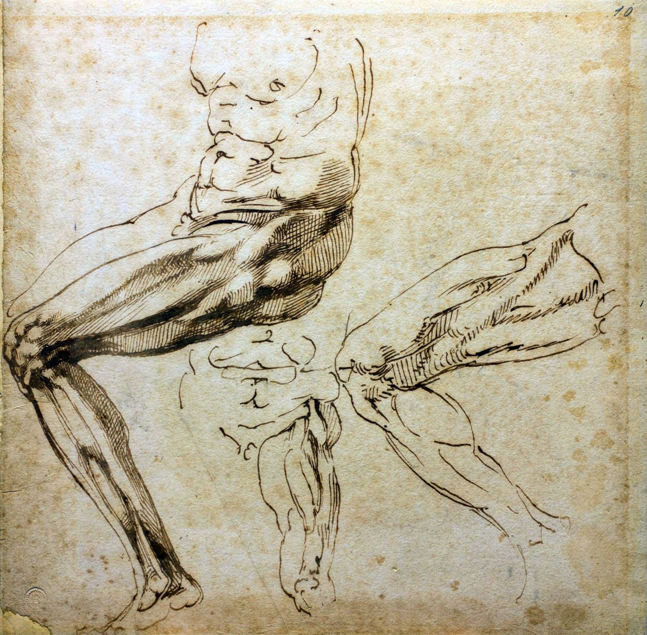 Jalkojen tutkimukset, 1524-1525 tekijältä Michelangelo Buonarroti