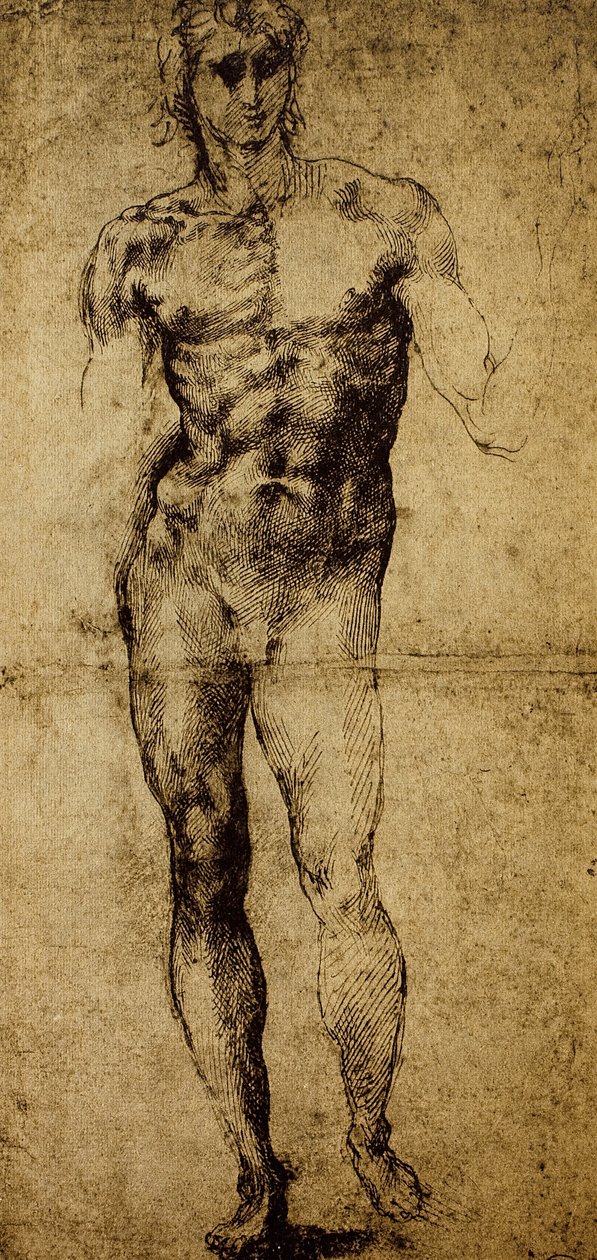 Tutkimus miesalastolle, Michelangelo Buonarroti (1475-1564), piirustus, Pariisi, Louvre-museo tekijältä Michelangelo Buonarroti