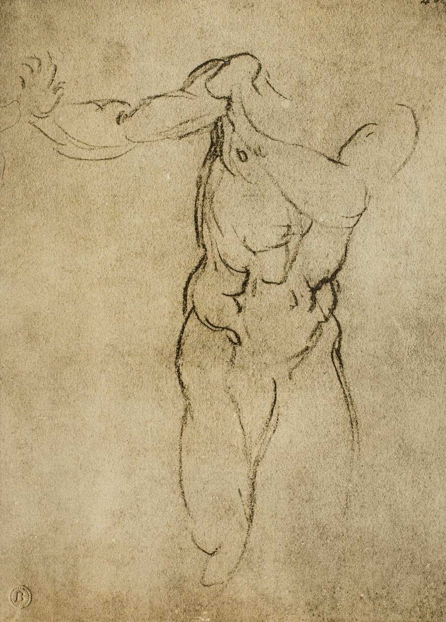 Tutkimus maskuliiniselle rintakuvalle, Michelangelon piirustus. Casa Buonarroti, Firenze tekijältä Michelangelo Buonarroti