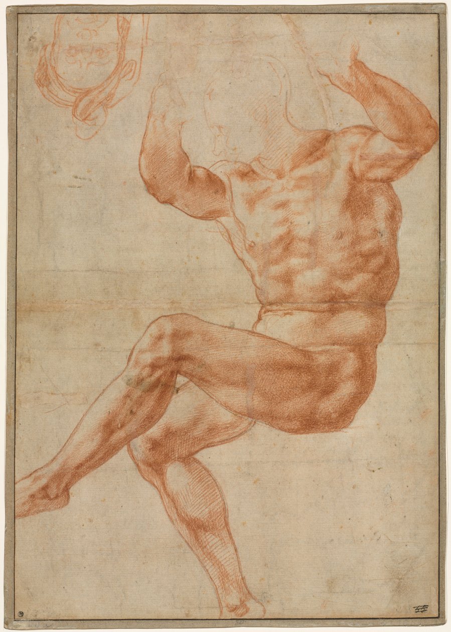Tutkimus alastonnuorille profeetta Danielista (recto) tekijältä Michelangelo Buonarroti