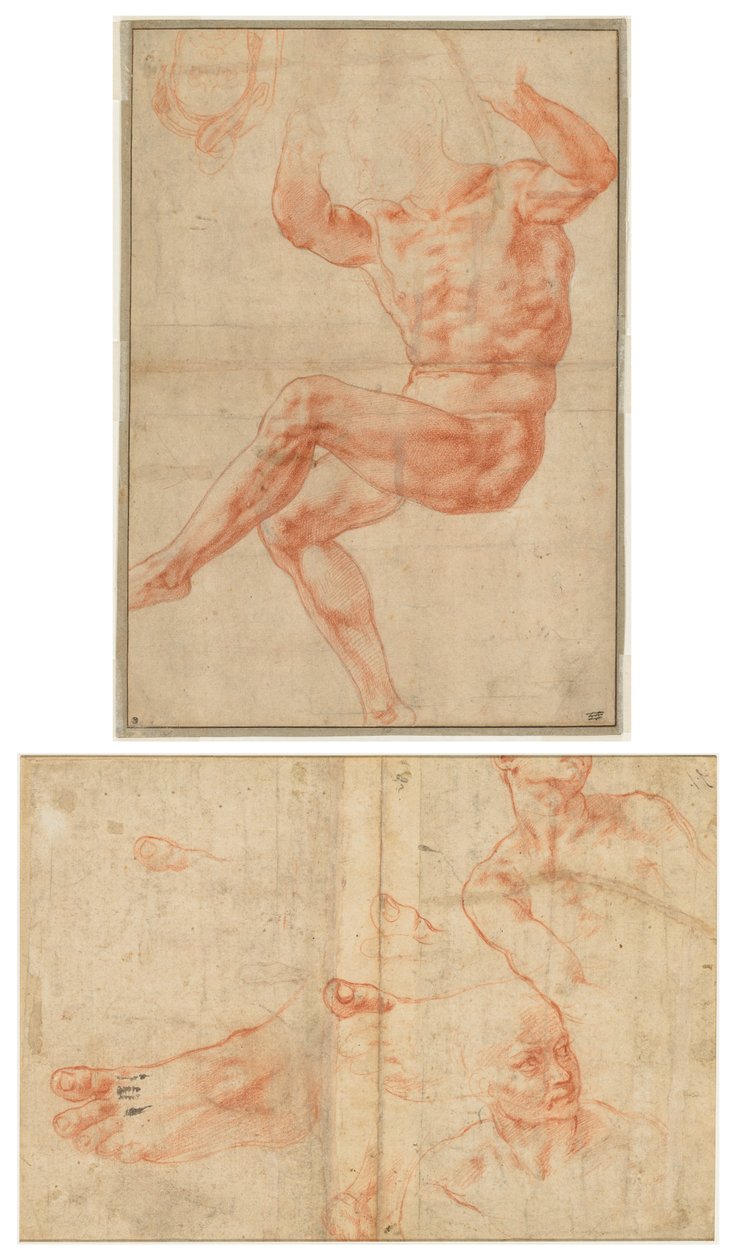 Tutkimus alastonnuorille profeetta Danielista (recto); Kuvatutkimukset Sikstuksen kattoon (käänteinen) tekijältä Michelangelo Buonarroti