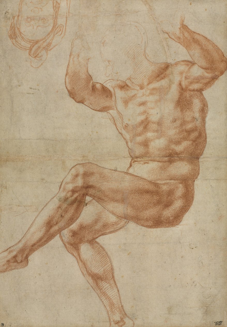 Tutkimus alastonnuorille profeetta Danielista, Sikstuksen katto, 1510-11 tekijältä Michelangelo Buonarroti