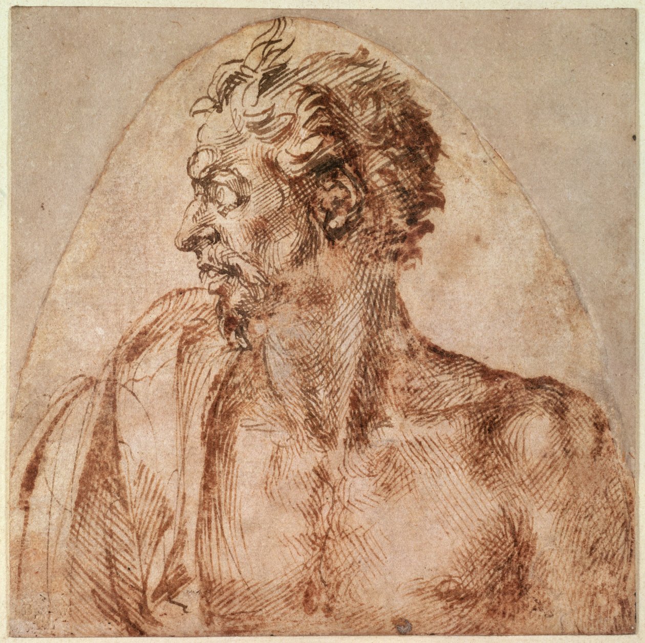 Pään ja hartioiden tutkimus (muste paperille) tekijältä Michelangelo Buonarroti