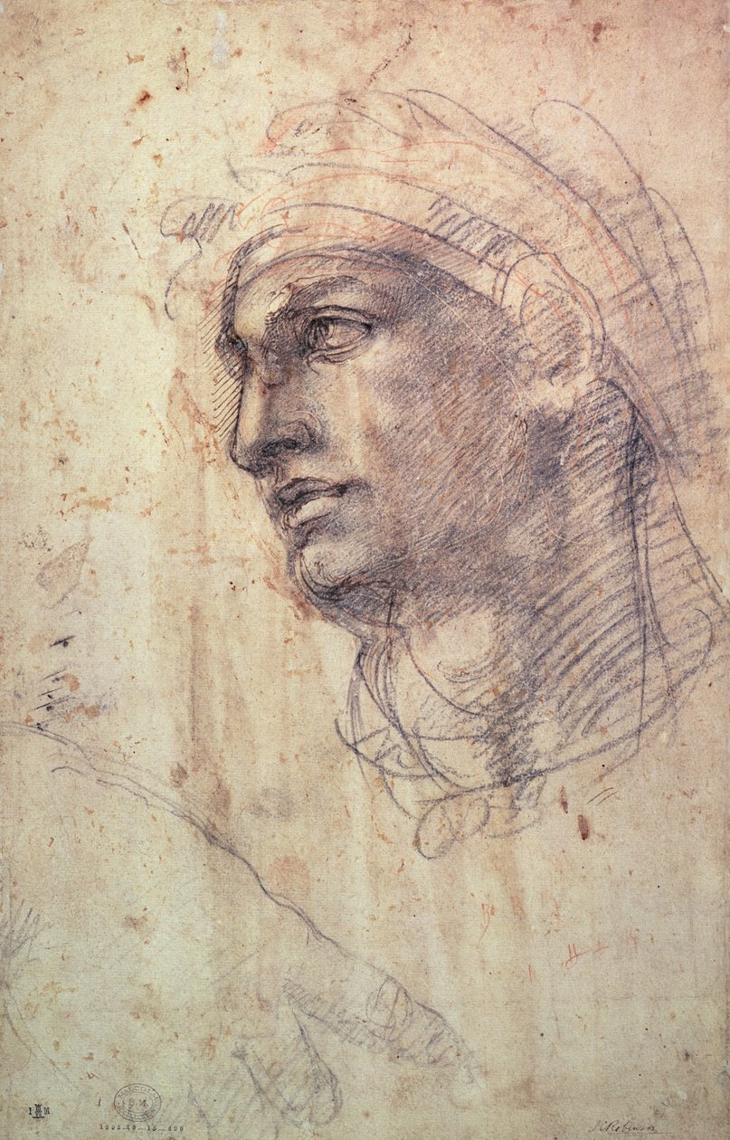 Pään tutkimus (hiili paperille) tekijältä Michelangelo Buonarroti