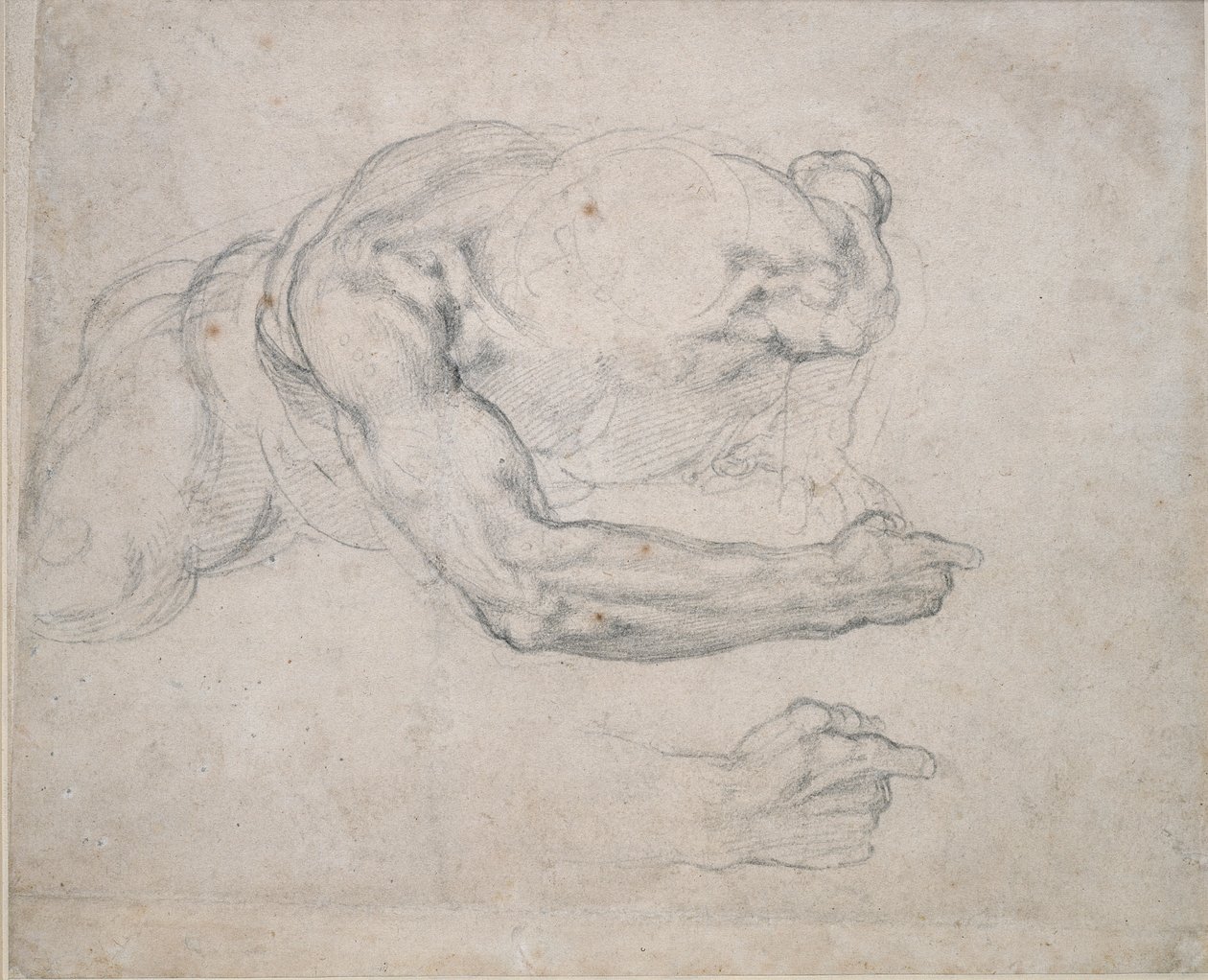 Tutkimus maasta nousevasta miehestä, 1500-luku tekijältä Michelangelo Buonarroti