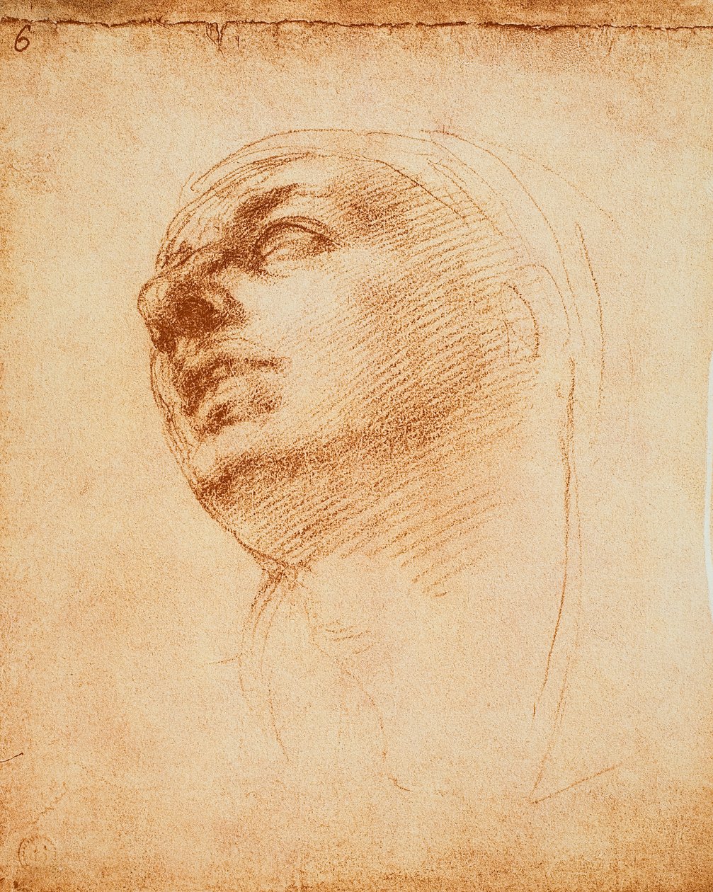 Kasvotutkimus, Michelangelon piirustus. Casa Buonarroti, Firenze tekijältä Michelangelo Buonarroti