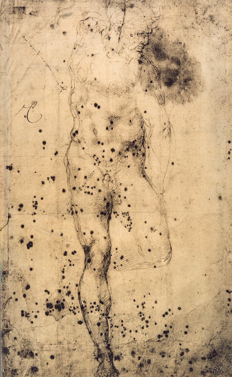 Tutkimus miesalastosta, jonka vasen jalka on kohotettuna; piirustus Michelangelo. Musee du Louvre, Pariisi tekijältä Michelangelo Buonarroti