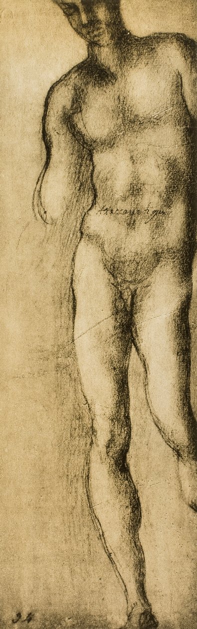 Tutkimus maskuliinisesta hahmosta, Michelangelon piirustus. Casa Buonarroti, Firenze tekijältä Michelangelo Buonarroti