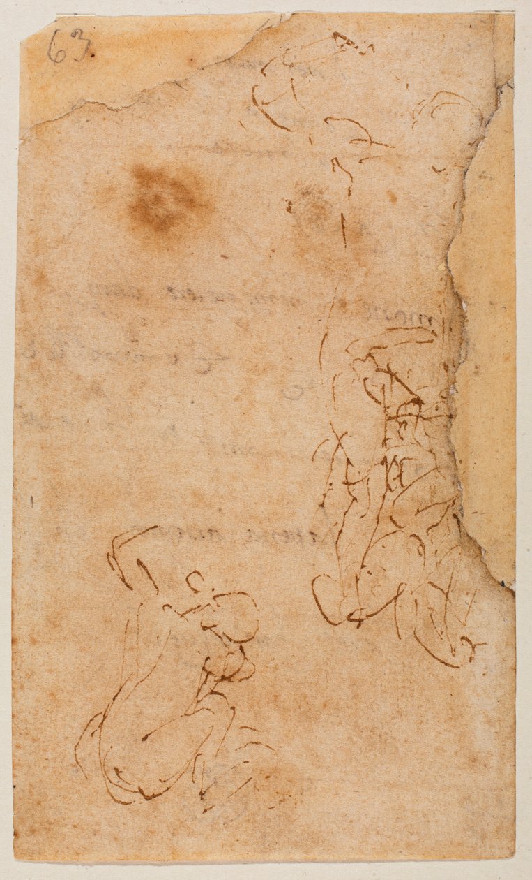 Lukujen tutkiminen tekijältä Michelangelo Buonarroti
