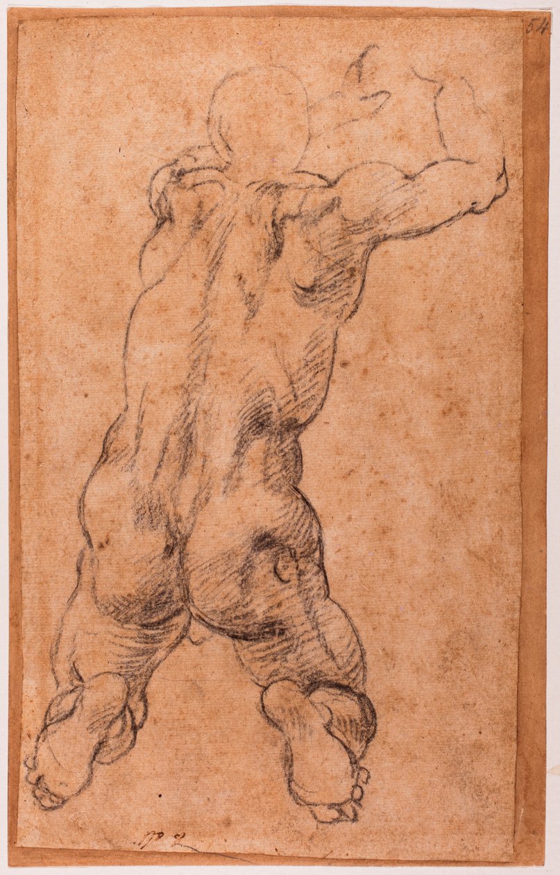 Tutkimus polvistuvasta miespuolisesta alastonkuvasta tekijältä Michelangelo Buonarroti