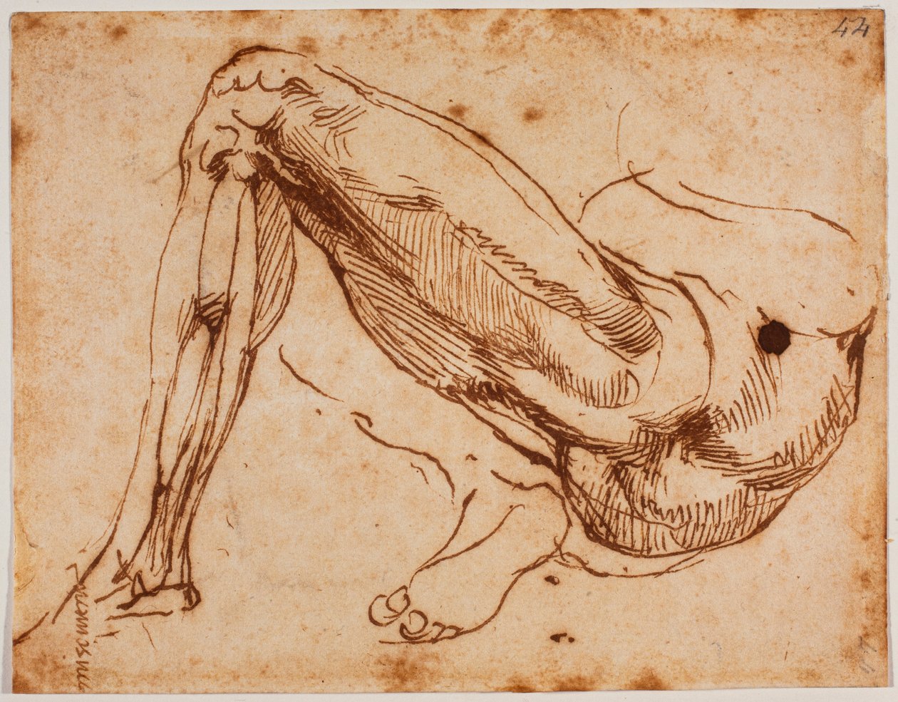 Jalkojen tutkimus tekijältä Michelangelo Buonarroti
