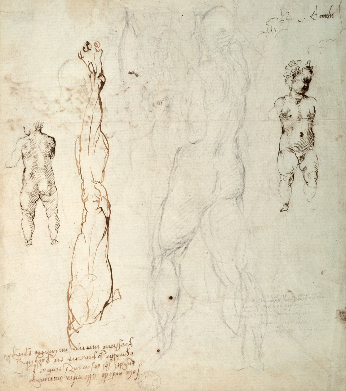 Tutkimus Kristus-lapsesta ja anatominen piirustus muistiinpanoilla (musta liitu ja ruskea muste paperille) (käänteinen) tekijältä Michelangelo Buonarroti