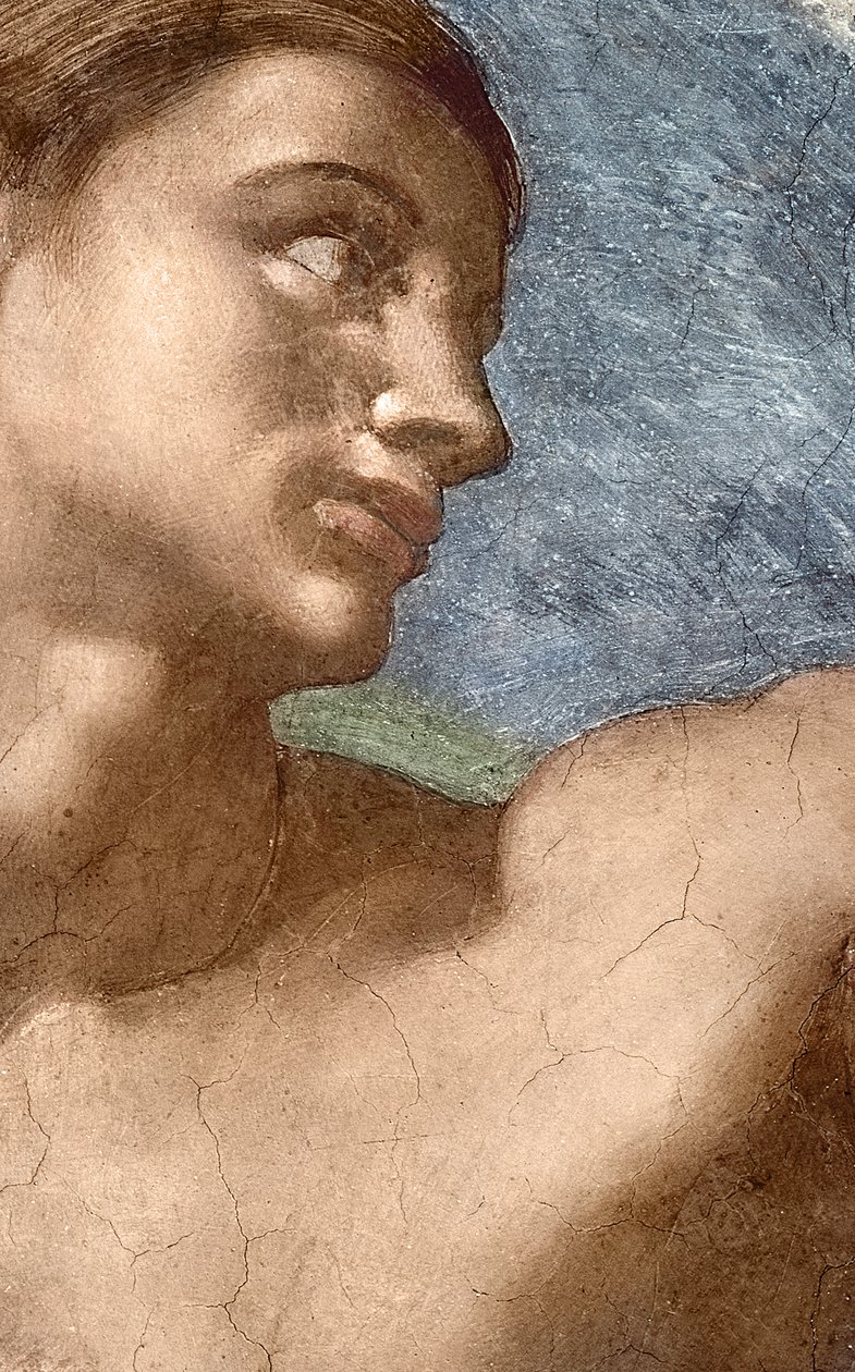 Aadamin luominen, Aadamin pään yksityiskohta tekijältä Michelangelo Buonarroti