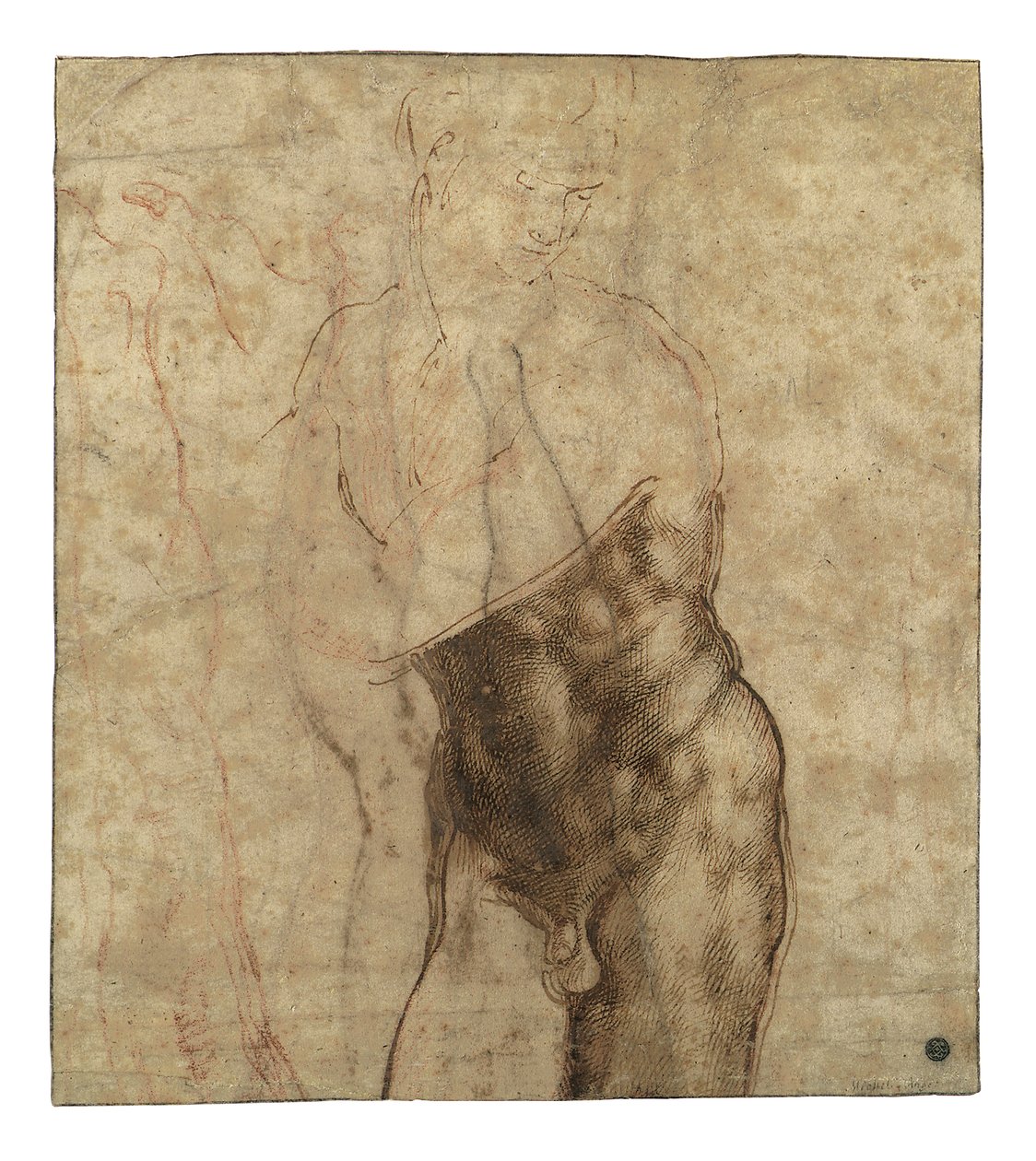 Ylösnoussut Kristus, kolme neljäsosaa pitkä alaston, joka katsoo alas oikealle tekijältä Michelangelo Buonarroti