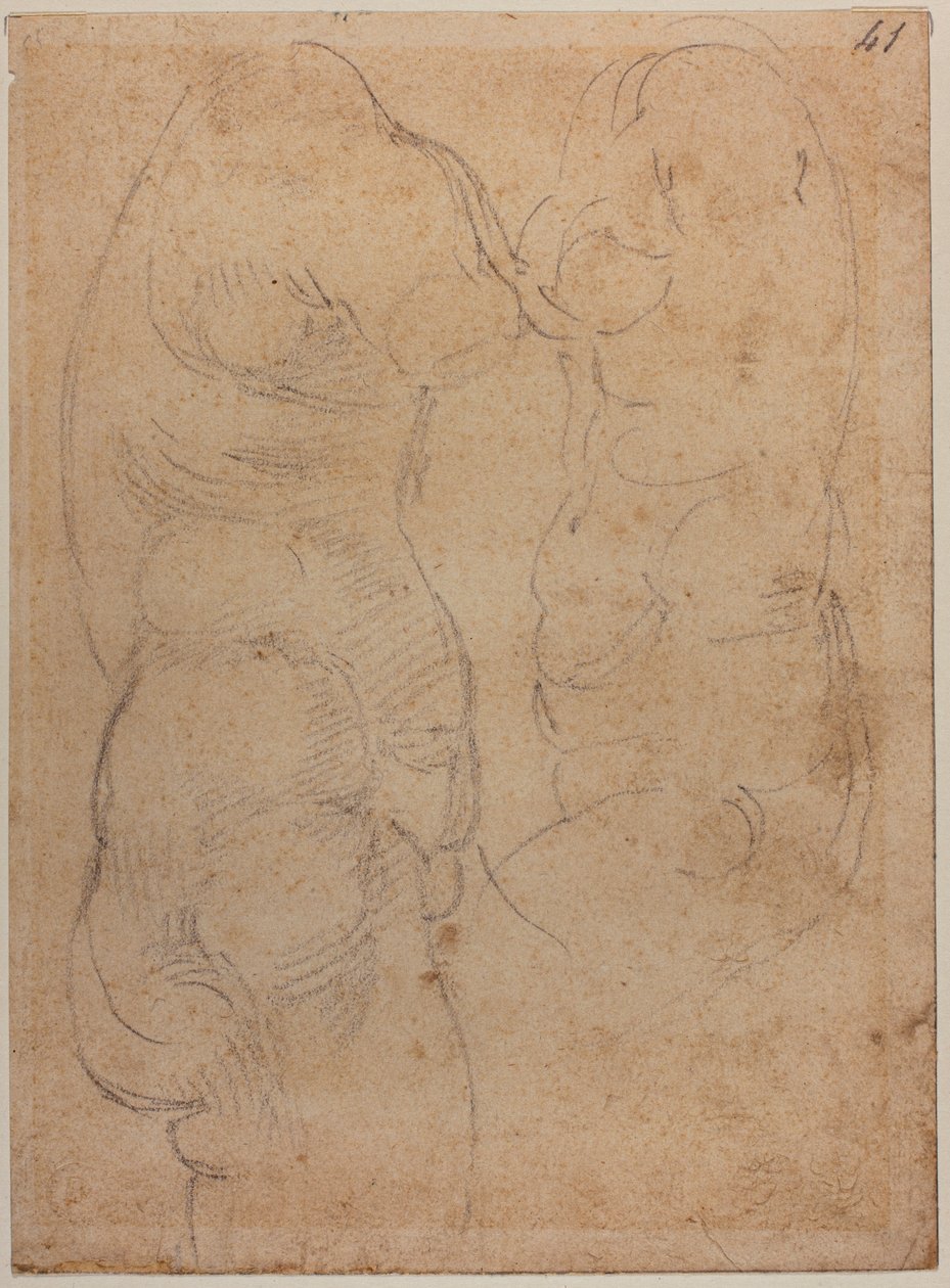 Kaksi tutkimusta muinaisesta Venuksesta tekijältä Michelangelo Buonarroti