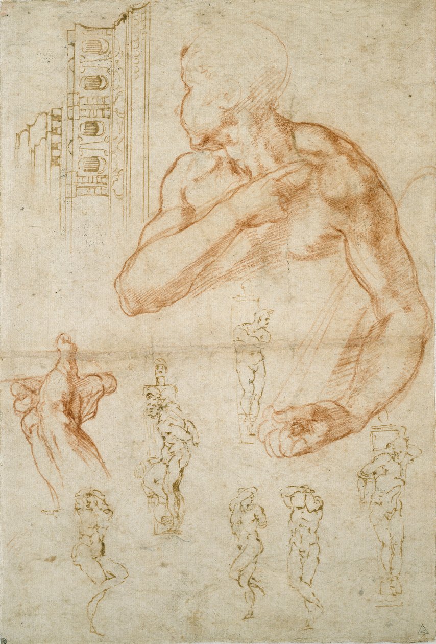 Erilaisia tutkimuksia Sikstuksen katosta ja paavi Julius II:n haudasta, c1490-1560 tekijältä Michelangelo Buonarroti