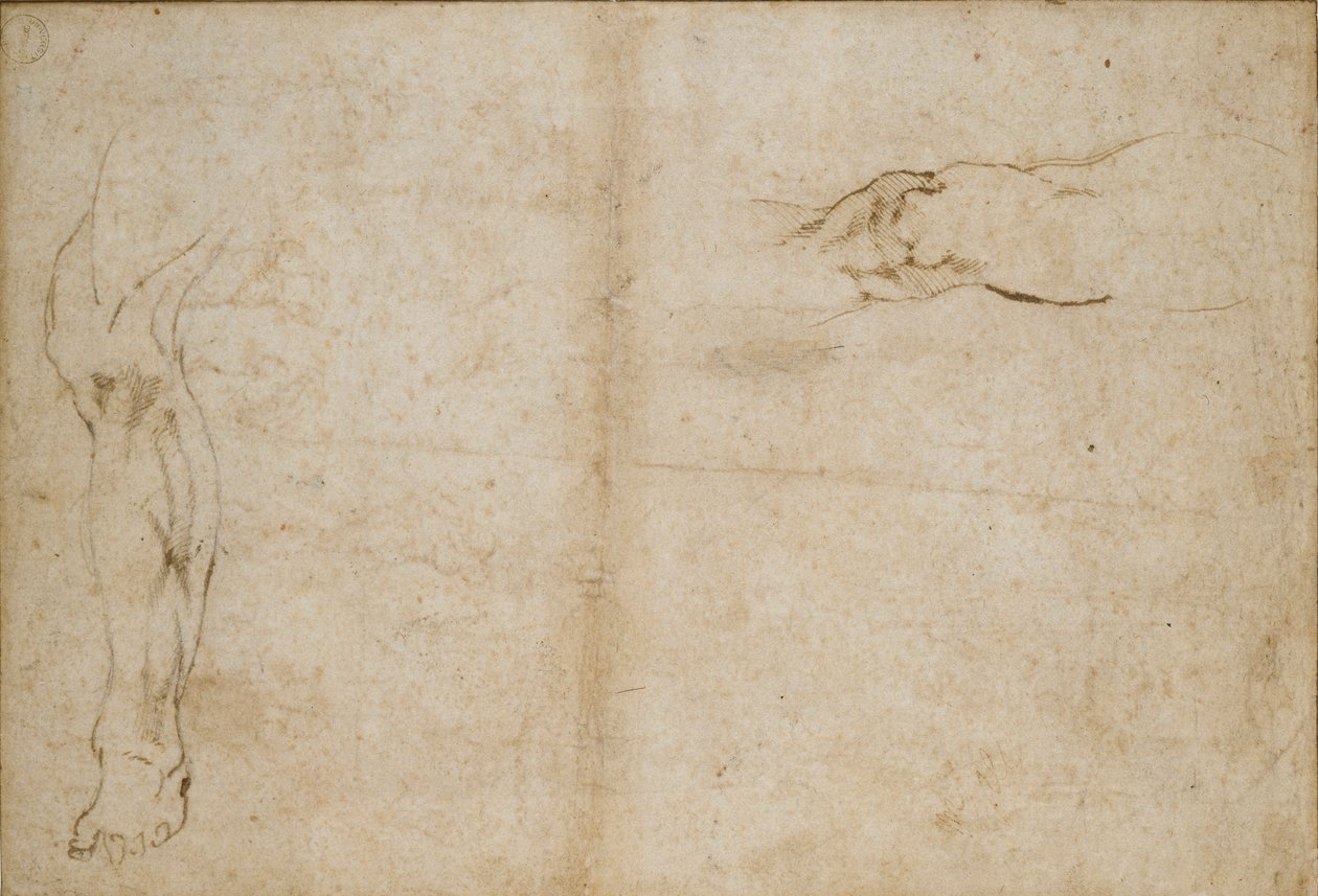 Verso: Tutkimukset miehen jaloista, c1490-1560 tekijältä Michelangelo Buonarroti