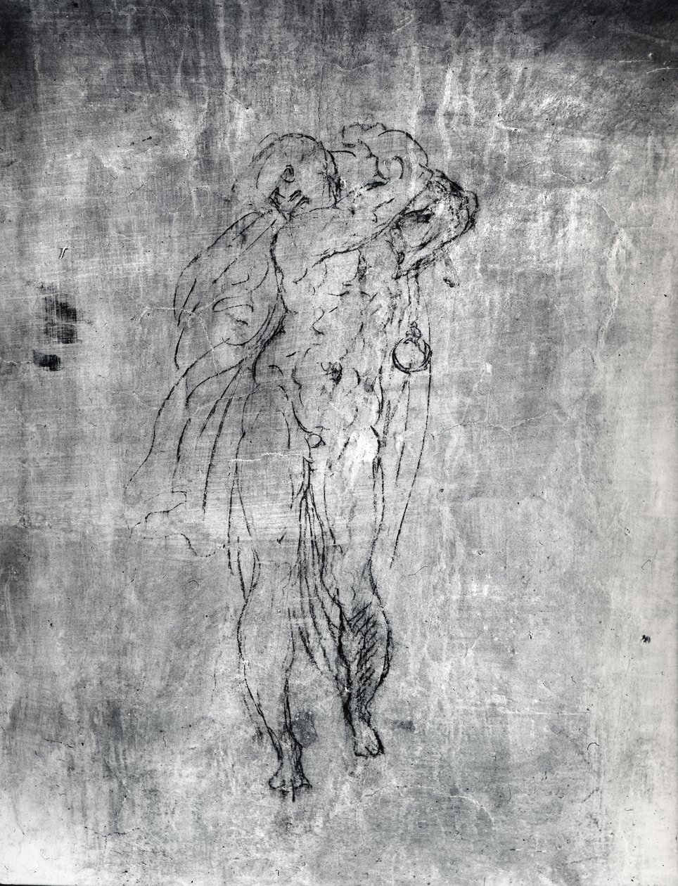 Seinäpiirros mieshahmosta, n. 1530 (hiili kipsille) tekijältä Michelangelo Buonarroti