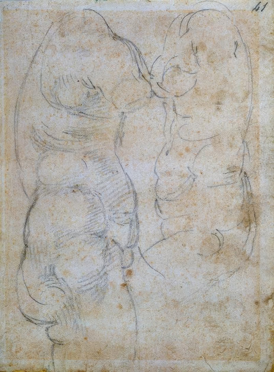 Zwei Studien nach einem antiken Frauentorso tekijältä Michelangelo Buonarroti