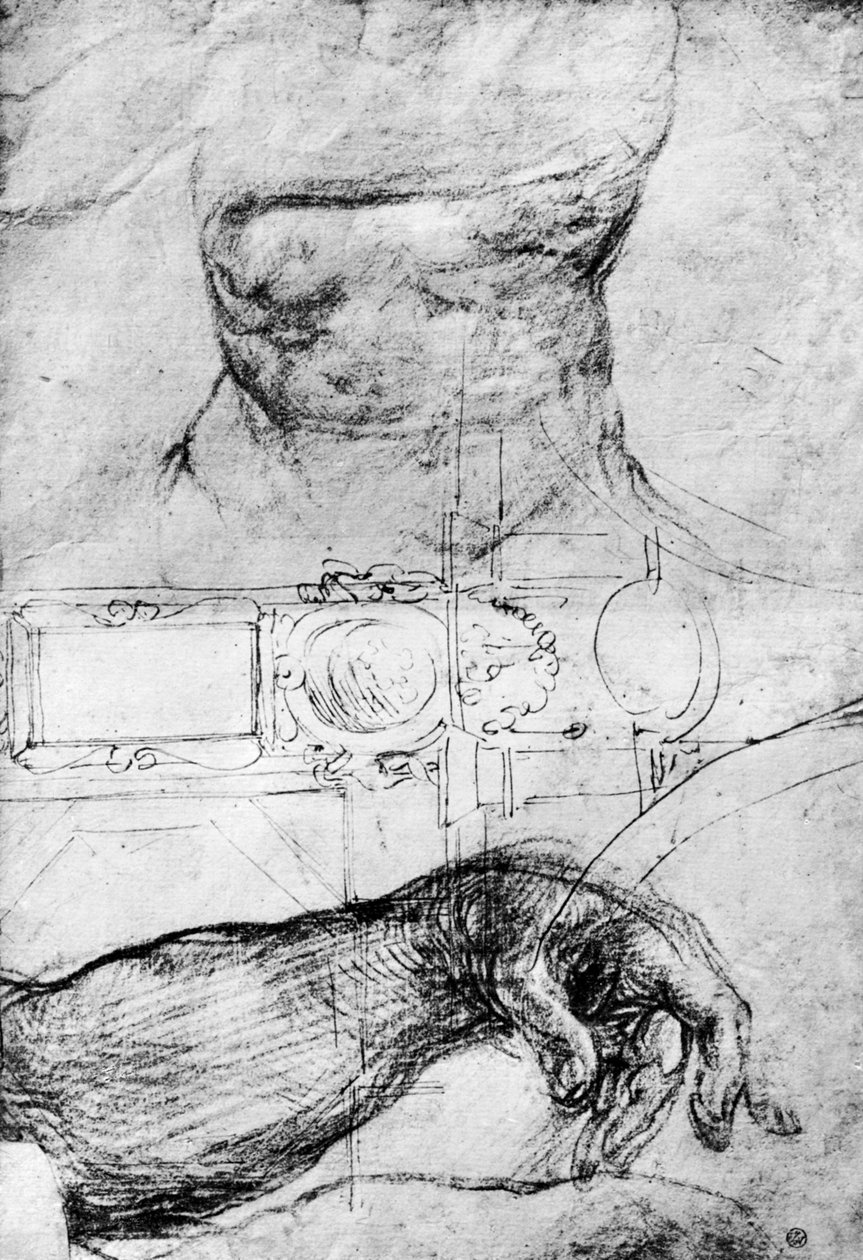 Tutkimuksia Sikstuksen kappelin kattoon, Rooma, 1913 tekijältä Michelangelo Merisi Caravaggio
