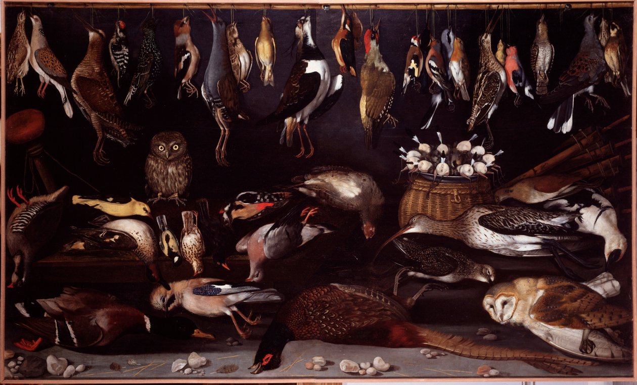 Asetelma lintujen kanssa (lintu) Michelangelo Merisi dit Caravaggio (Caravaggio) (1571-1610) maalaus Rooma Galleria Borghese tekijältä Michelangelo Merisi da (attr. to) Caravaggio