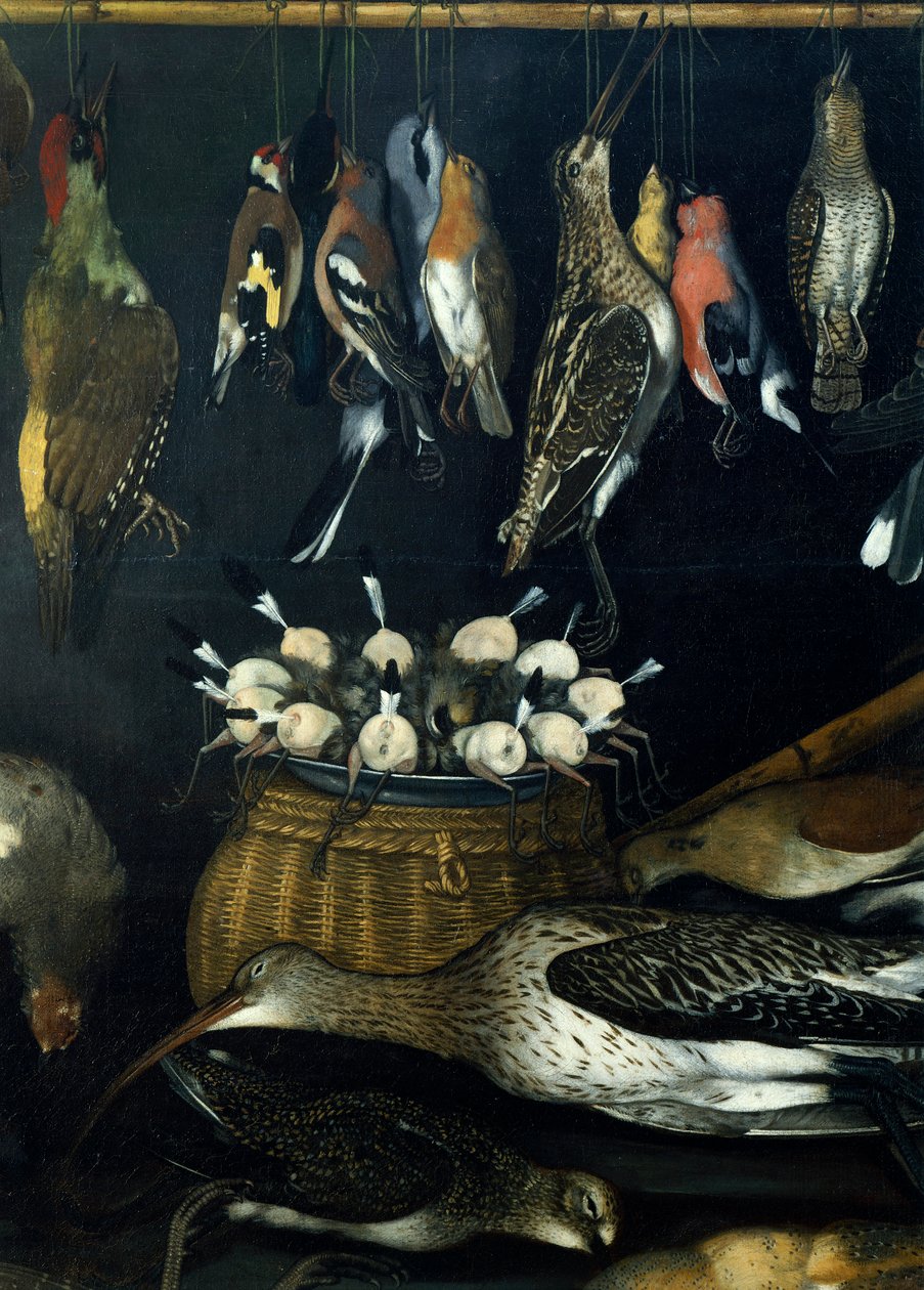 Asetelma lintujen kanssa, Master of the Hartford Still-life (öljy kankaalle) (624934:n yksityiskohta) tekijältä Michelangelo Merisi da Caravaggio
