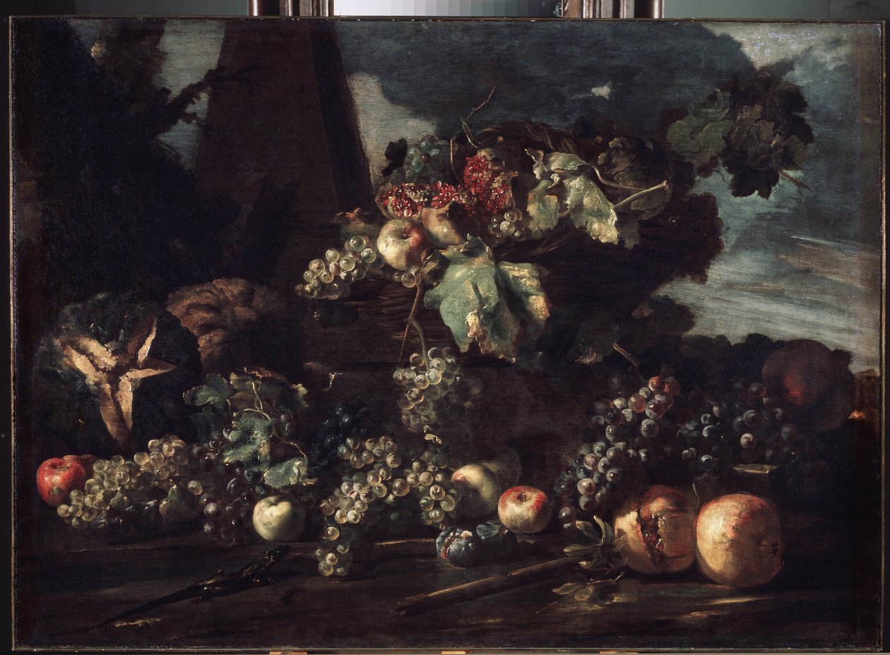 "Asetelma viinirypäleillä" Michelangelo Pace da Campidoglion (1610-1670) maalaus 1650-1660 Mitat 98x134 cm Eremitaaši, Pietari tekijältä Michele Pace del Campidoglio