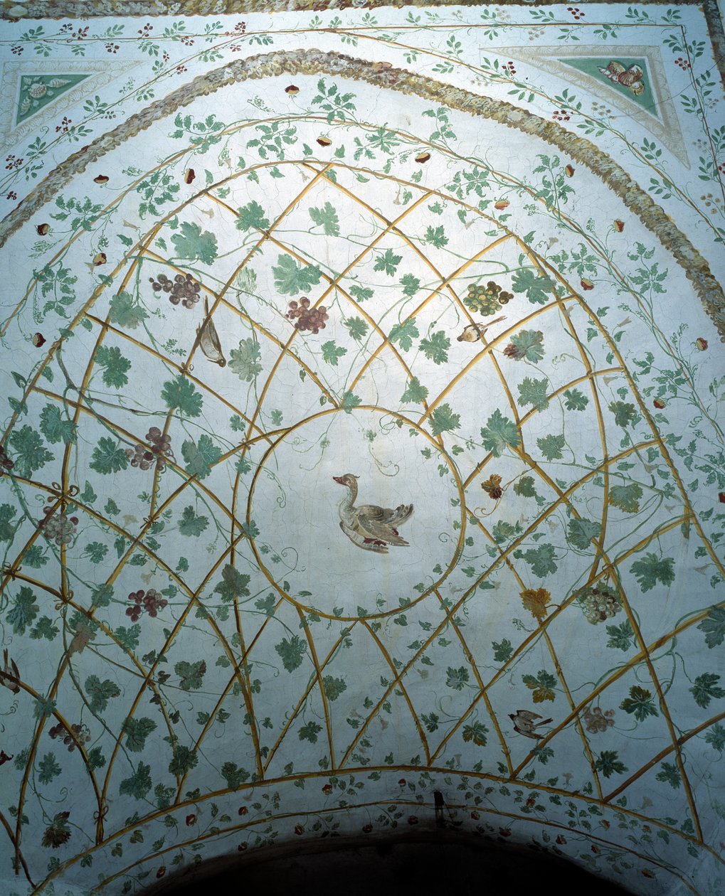 Näkymä kellarin holviin, Villa Medicea di Careggi tekijältä Michelozzo di Bartolommeo