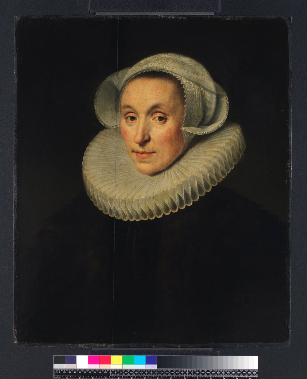Naisen muotokuva, 1615 tekijältä Michiel Jansz. van Miereveld