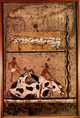 Härän hautauhri Itin haudasta (seinämaalaus) tekijältä Middle Kingdom Egyptian