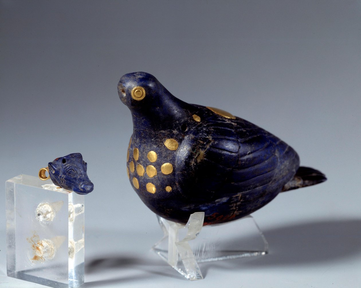 Itäinen antiikki: kyyhkynen lapis lazuli (lapis lazuli) ja kulta. Susan sivuilta. Medio-elamiittikausi (Iran). 1200 eKr. Pariisi, Louvre-museo tekijältä Middle Elamite Period