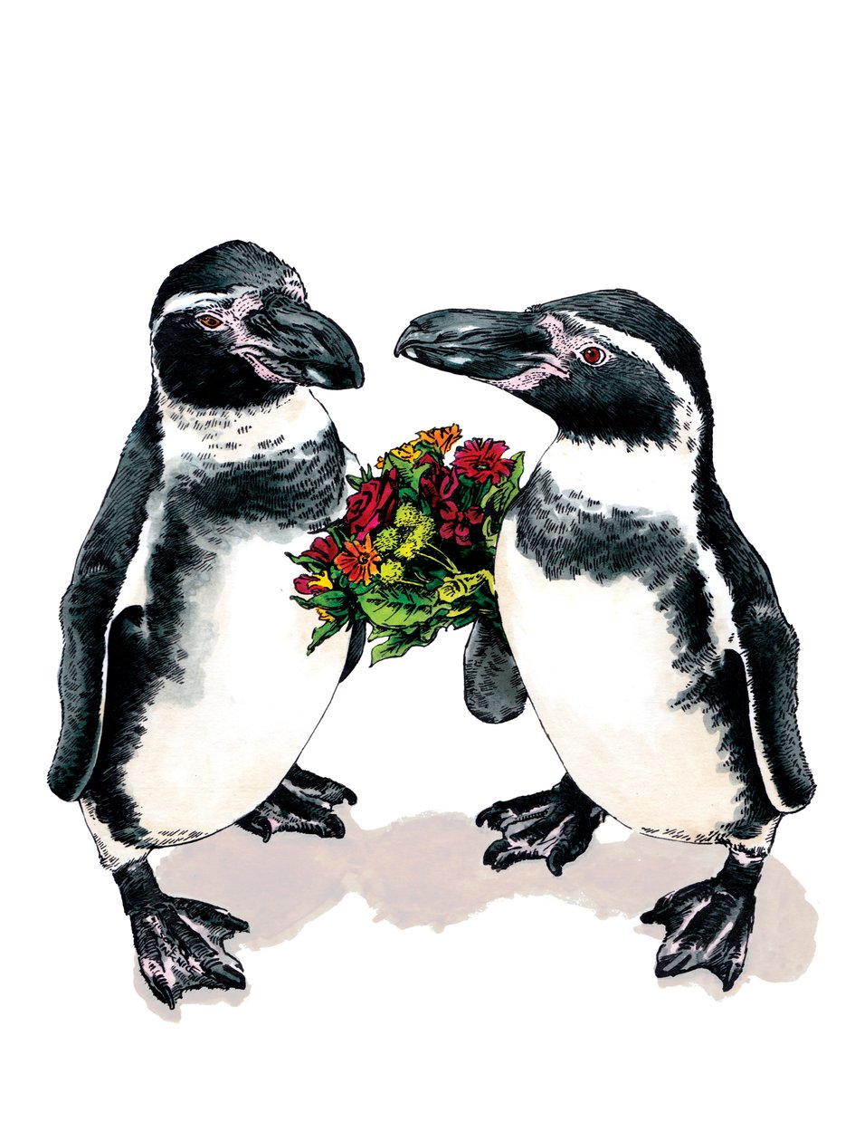 Anniversary Penguins on White, 2020 tekijältä Mike Davis