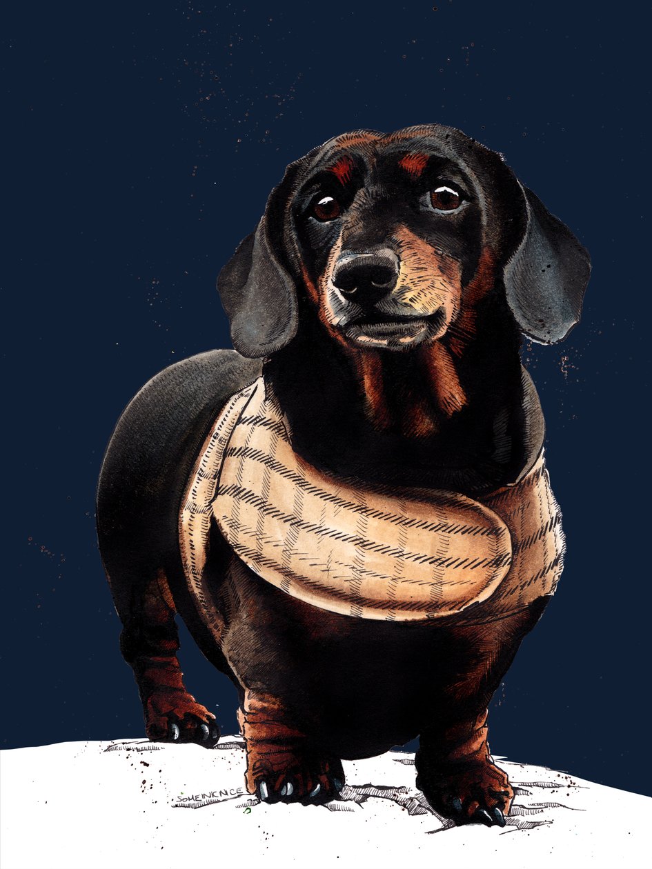 Arthur The Dachshund elokuvassa Midnight Blue, 2020 tekijältä Mike Davis