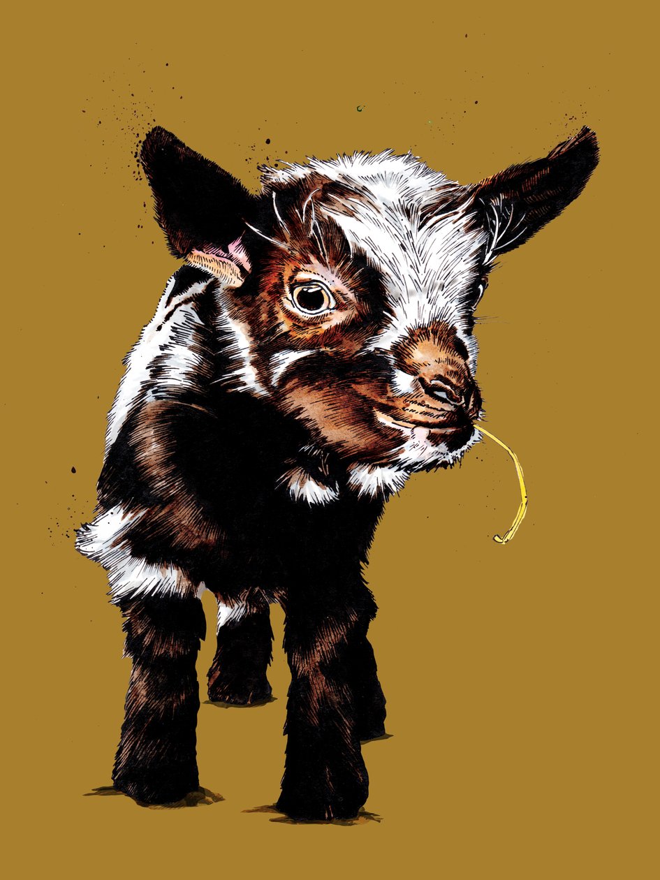Baby Goat Golden Yellow, 2020 tekijältä Mike Davis