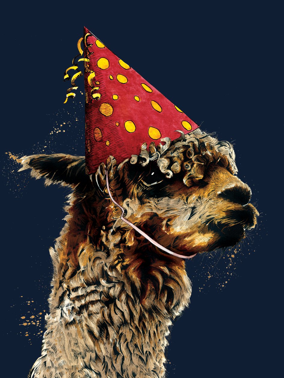 Syntymäpäivä Alpaca Midnight Bluessa, 2020 tekijältä Mike Davis