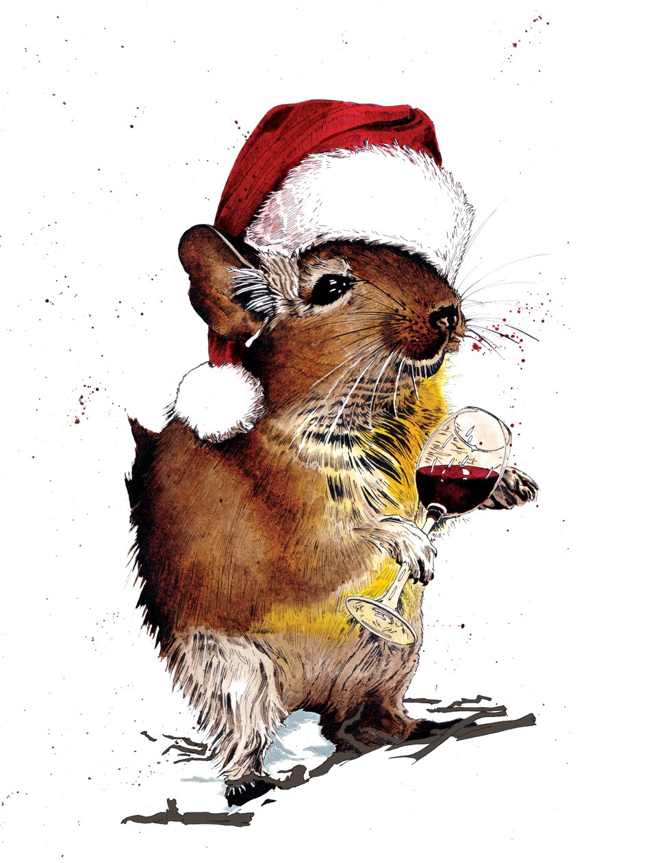 Joulu Degu valkoisella, 2020 tekijältä Mike Davis