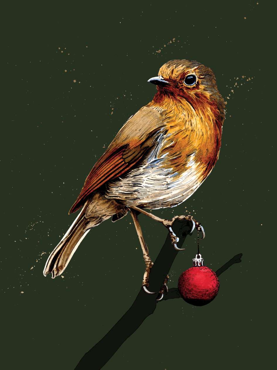 Christmas Robin Forest Greenillä, 2020 tekijältä Mike Davis