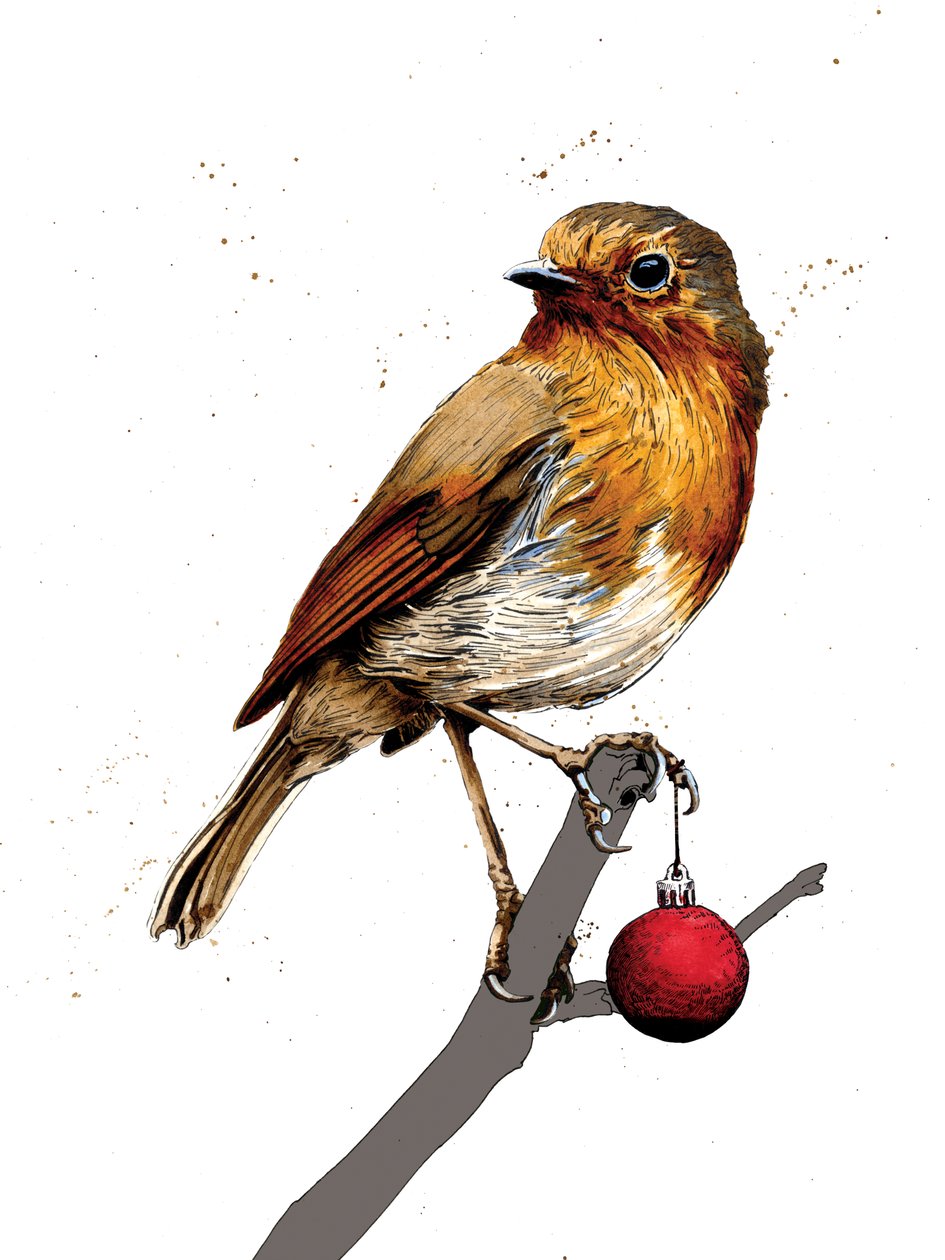 Christmas Robin on White, 2020 tekijältä Mike Davis
