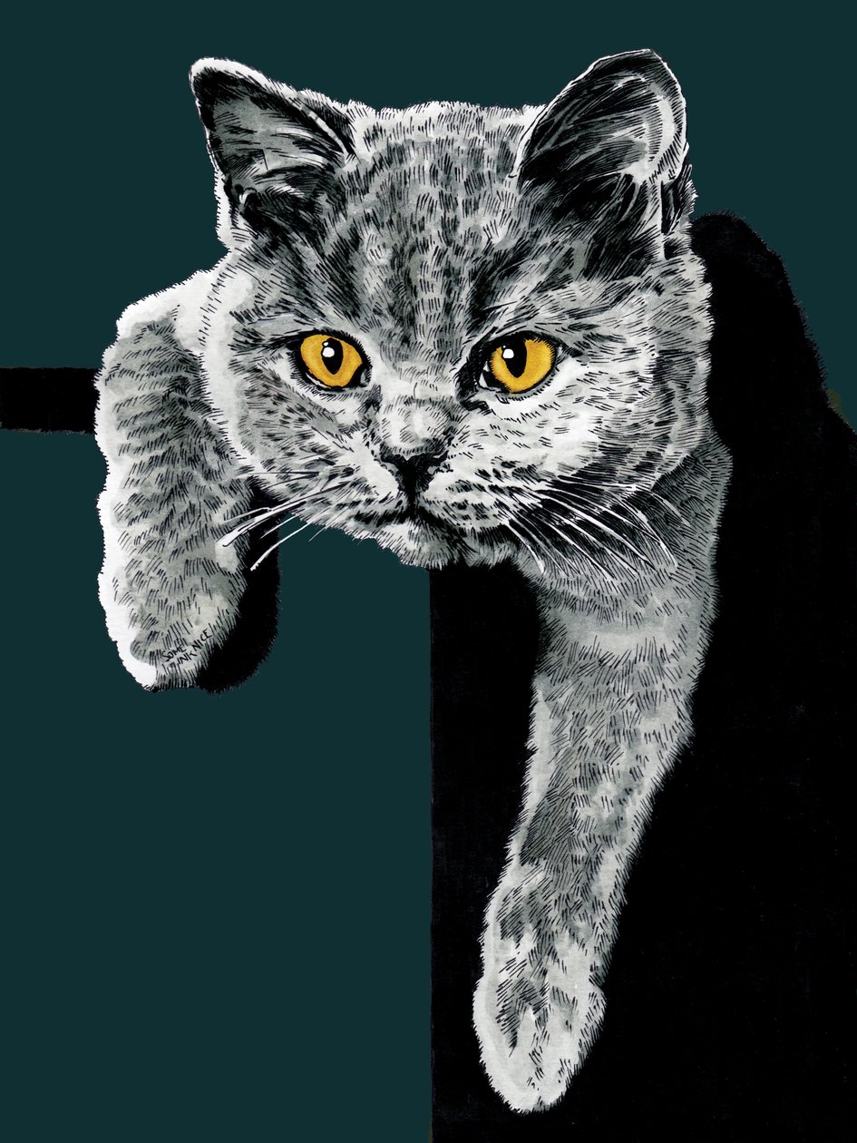 Flora The Kitten Deep Cyanissa, 2020 tekijältä Mike Davis