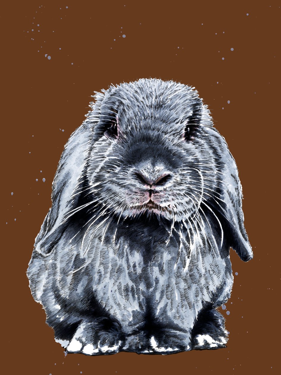 Gray One The Bunny Burnt Orangessa, 2020 tekijältä Mike Davis