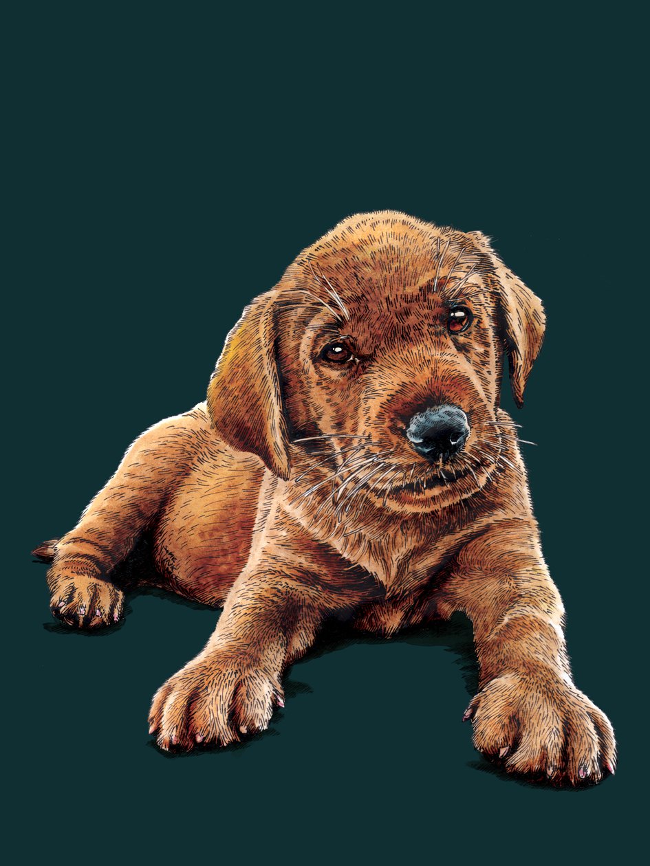 Marge The Puppy a Deep Cyan, 2021 finlandès tekijältä Mike Davis
