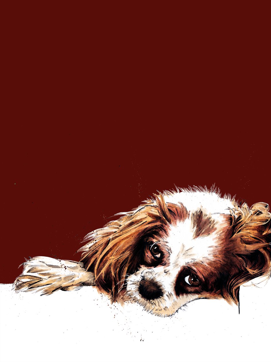 Meg The Spaniel on Red Oxide, 2020 tekijältä Mike Davis