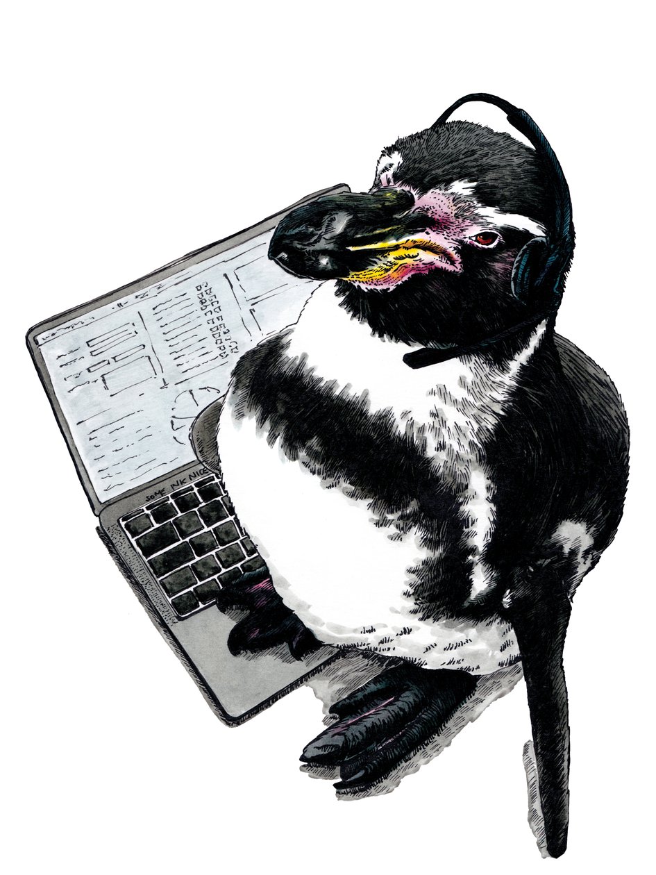 Uusi Job Penguin on White, 2020 tekijältä Mike Davis