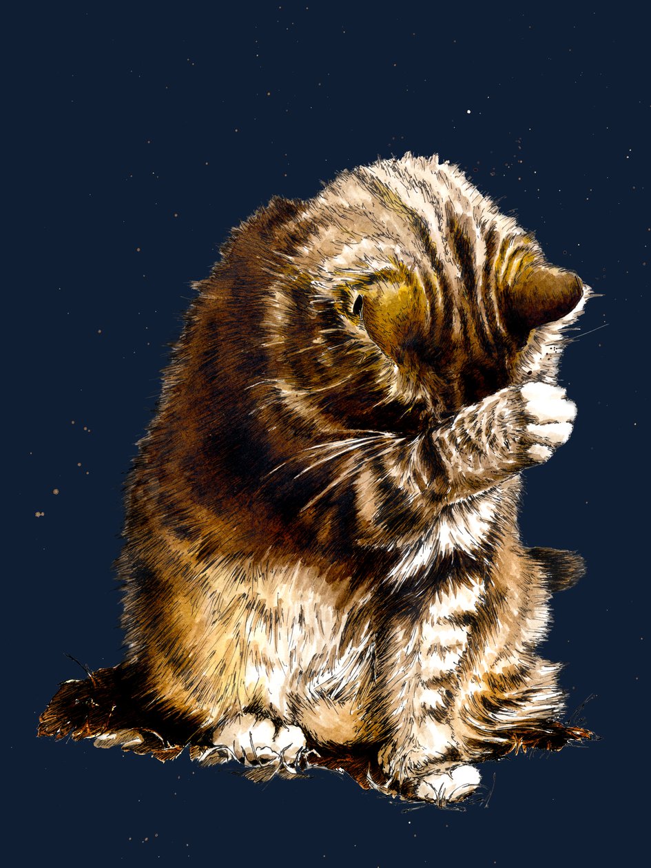 Smallfry The Cat on Midnight Blue, 2020 tekijältä Mike Davis