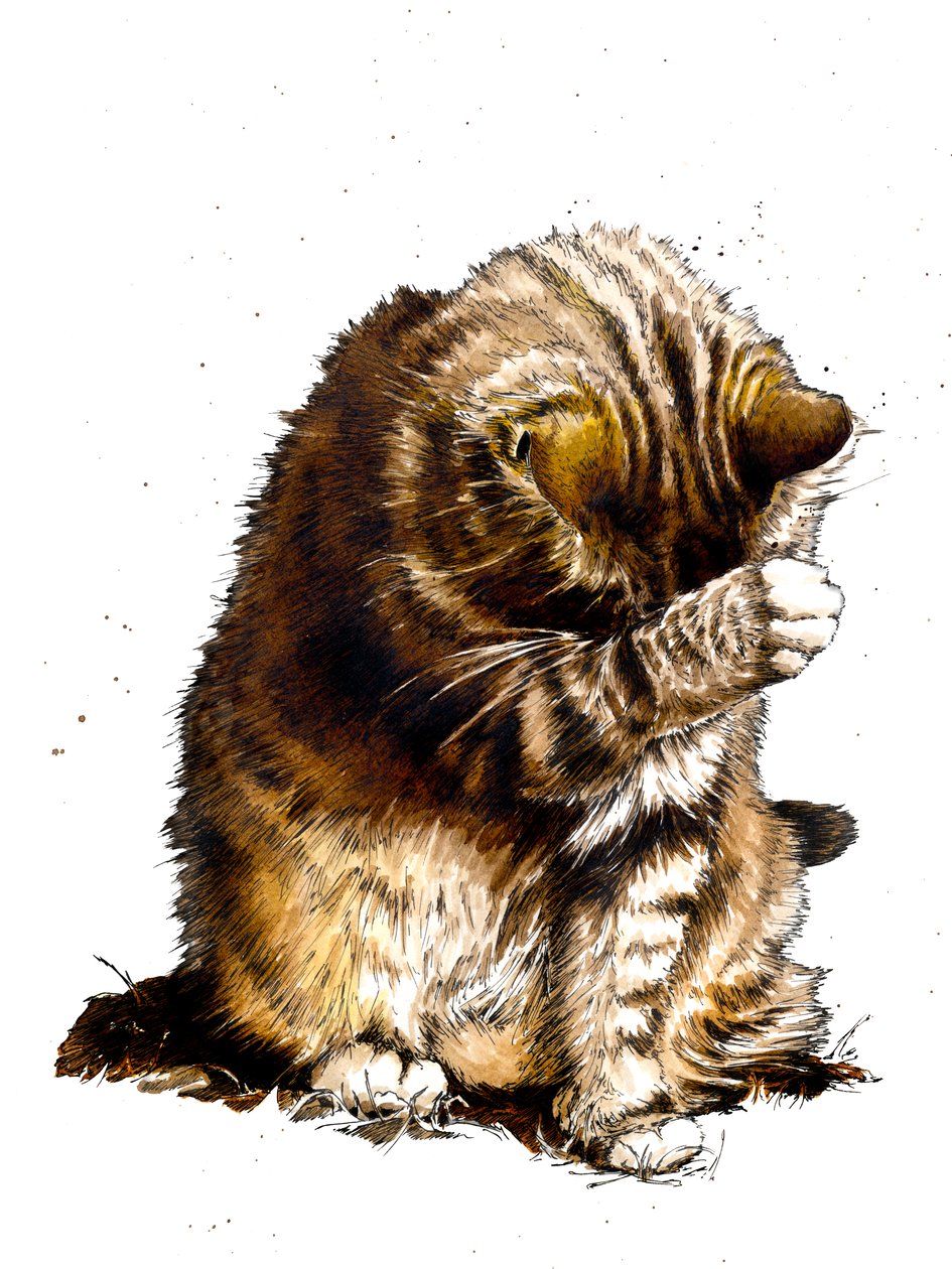 Smallfry Kissa valkoisella, 2019 tekijältä Mike Davis